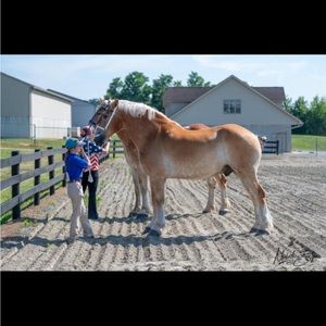 Meet your Posher, Briana